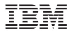 Logo d'IBM