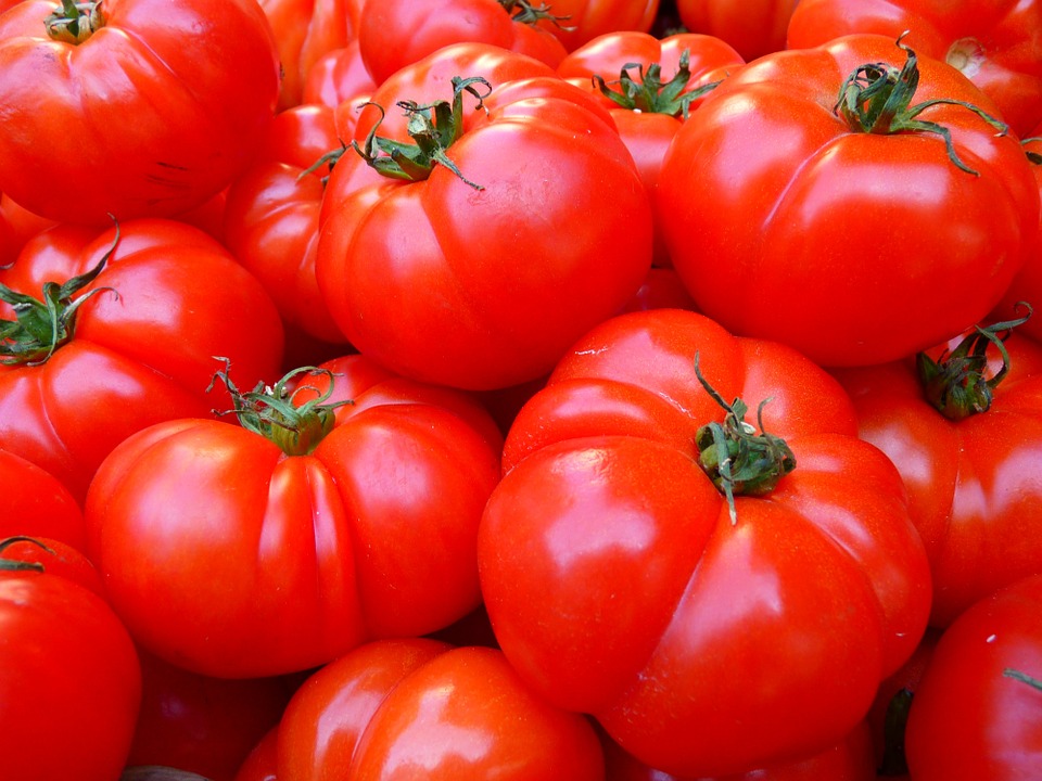 amas de tomates pour illustrer le concept de donnée