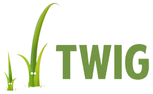 formation twig logo